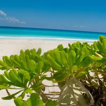Ocean View Apartment, Best Beach Area, 3 Bedrooms Cancun Exterior photo